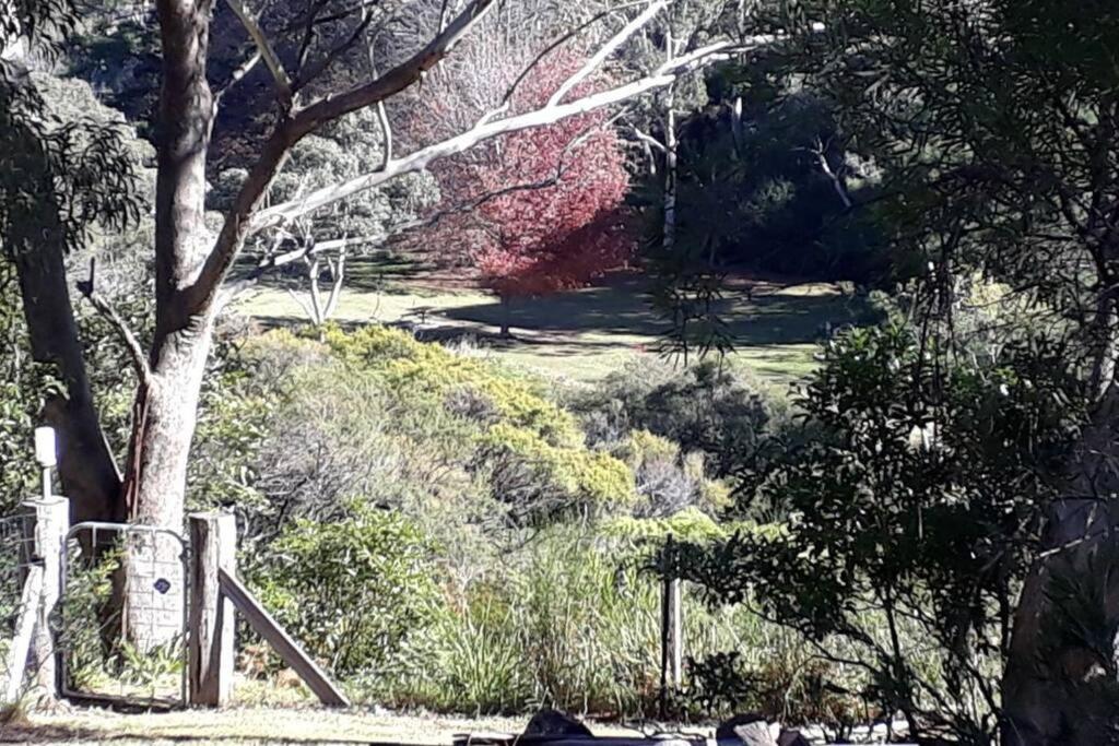 Katoomba Falls Cottage Exteriér fotografie